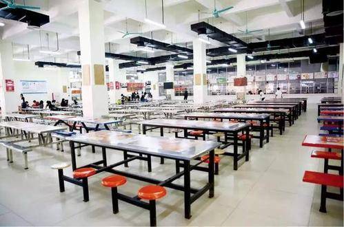 2020年高考广东省学_广东生态工程职业学院高职高考3+分数线、招生计划