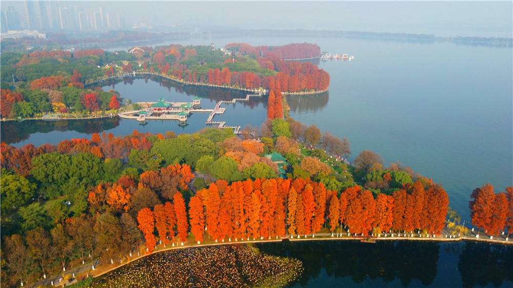 风雪前夕航拍东湖听涛景区美景