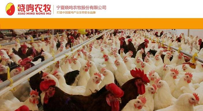 晓鸣农牧IPO：因质量问题被维权 偿债能力低