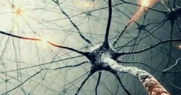 人类|人类为什么会丧失三岁之前记忆难道被人偷走了，专家告诉你真相