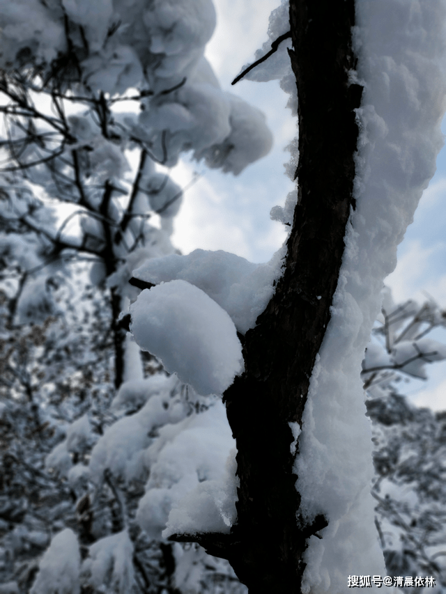 林什么雪什么成语(2)