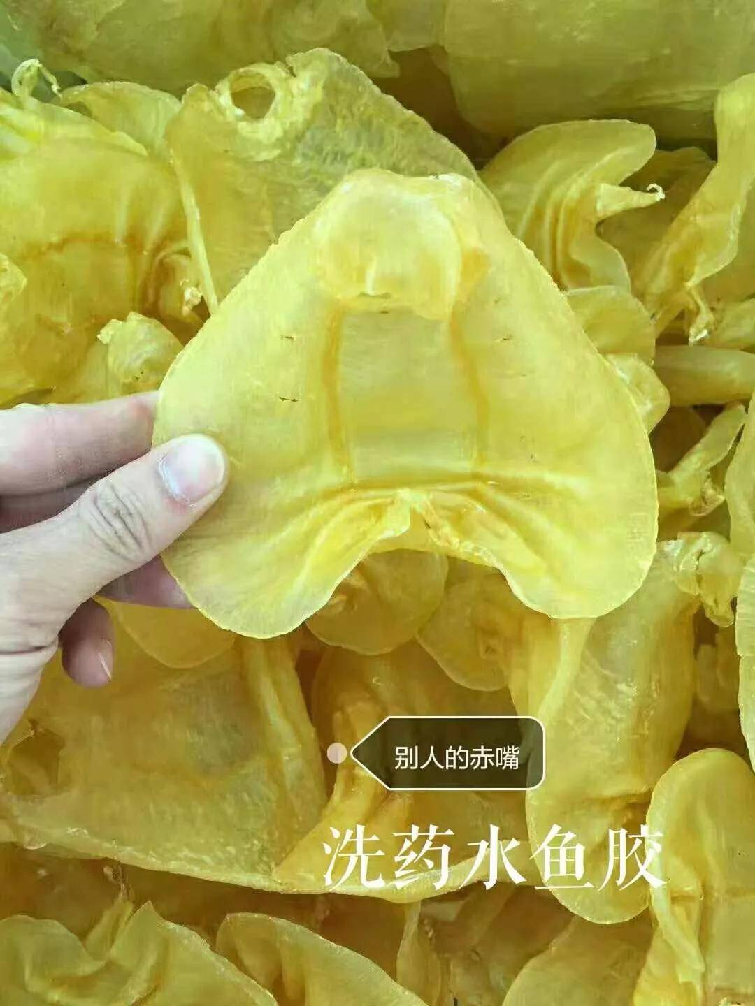 花胶怎么泡发 87328aa42d0249b7bf04eb58f91eef8a.jpeg