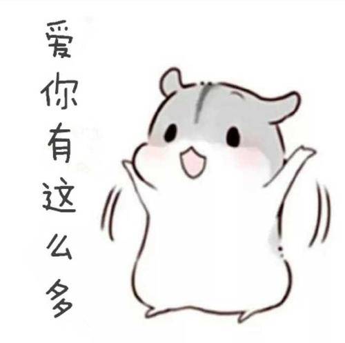 玖月奇迹因车祸定情曾相伴16年，离婚两月王小玮