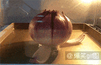 原创搞笑gif段子跑酷有风险失手在阴间