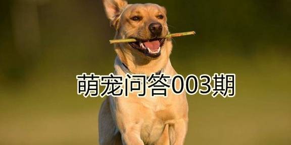 c43ef41b91a74485a532b8292f0b0e73.jpeg