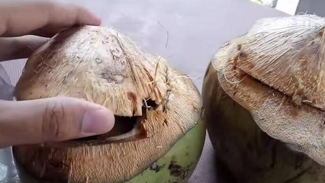 如何打开椰子壳图解 1c76500c78e34d5b9d6172cbcf5e12eb.jpeg