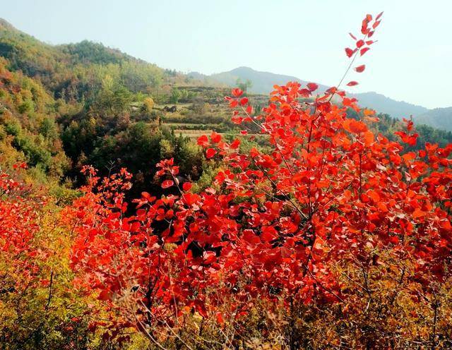 河南一小众化景点，不但名字好听，风景更是一绝