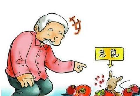 农村俗语"蛇是钱袋子,鼠是粮袋子"何意?老话在理吗?答案来了