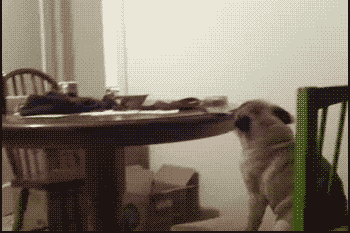 原创搞笑gif段子:看好了,爹给你露一手!