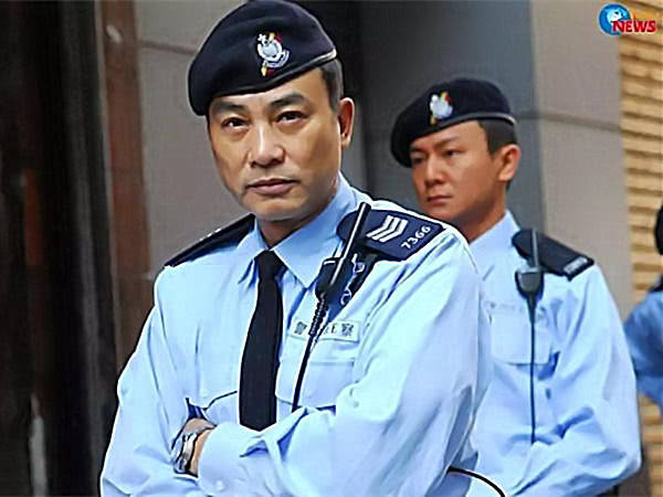 明星演警察那个可以以假乱真呢?