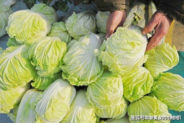 现在可以种大白菜吗 c0185bb47ad64d41ba0fafb197c0fb55.jpeg