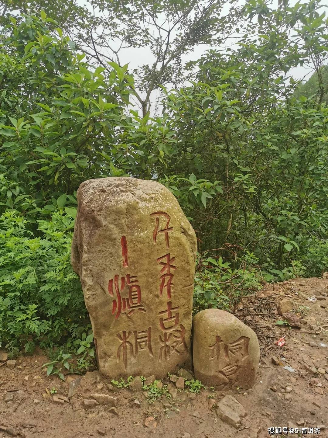 普洱茶专业品鉴 | 凤凰窝，太阳转身的地方，有你未曾感知过的普洱秘境