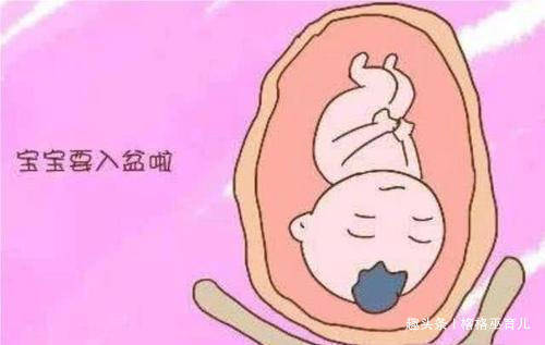 孕30周胎儿入盆怎么办