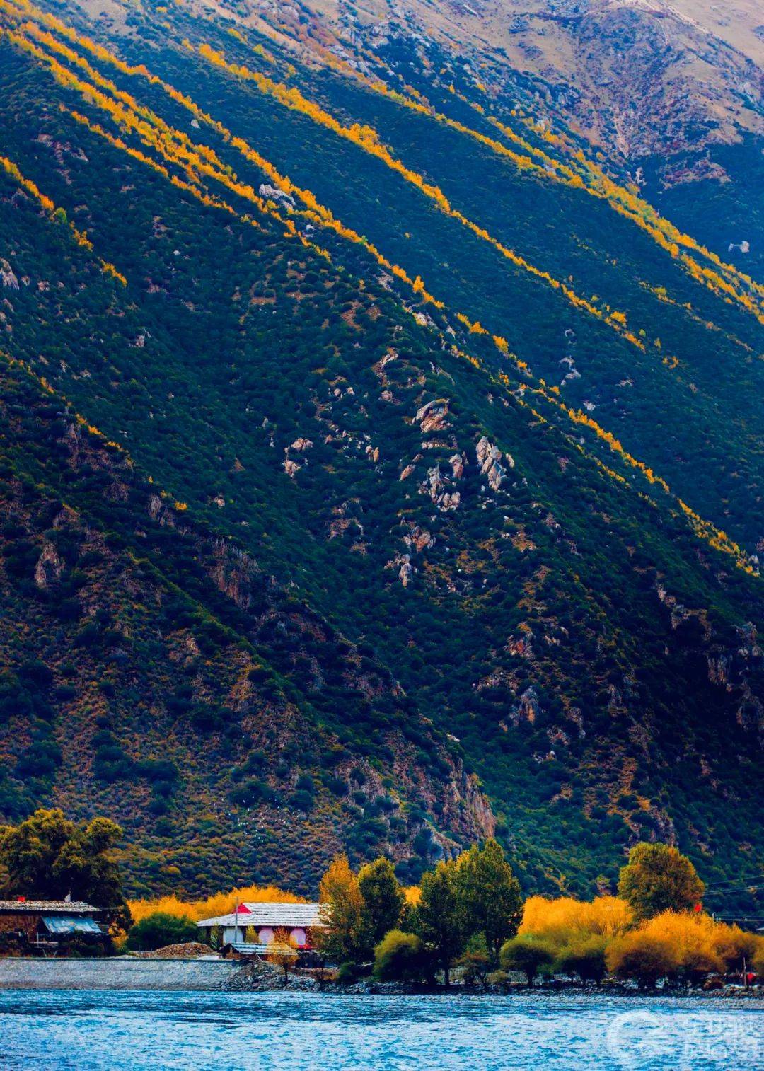 美图赏 辽远壮美大西北,冬樱俏丽大西南,昆仑山迤逦秋景,北海道冬日