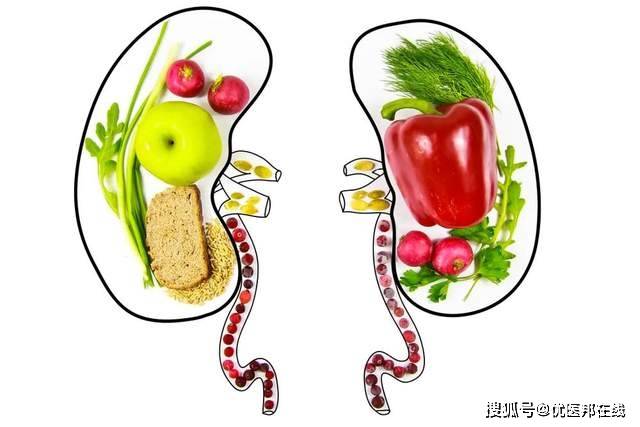 真正靠谱的护肾方法做好这6件事就可以