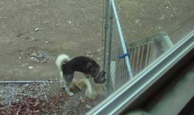 翻个底朝天图片 675593ef96864aac95e0384e54416501.jpeg