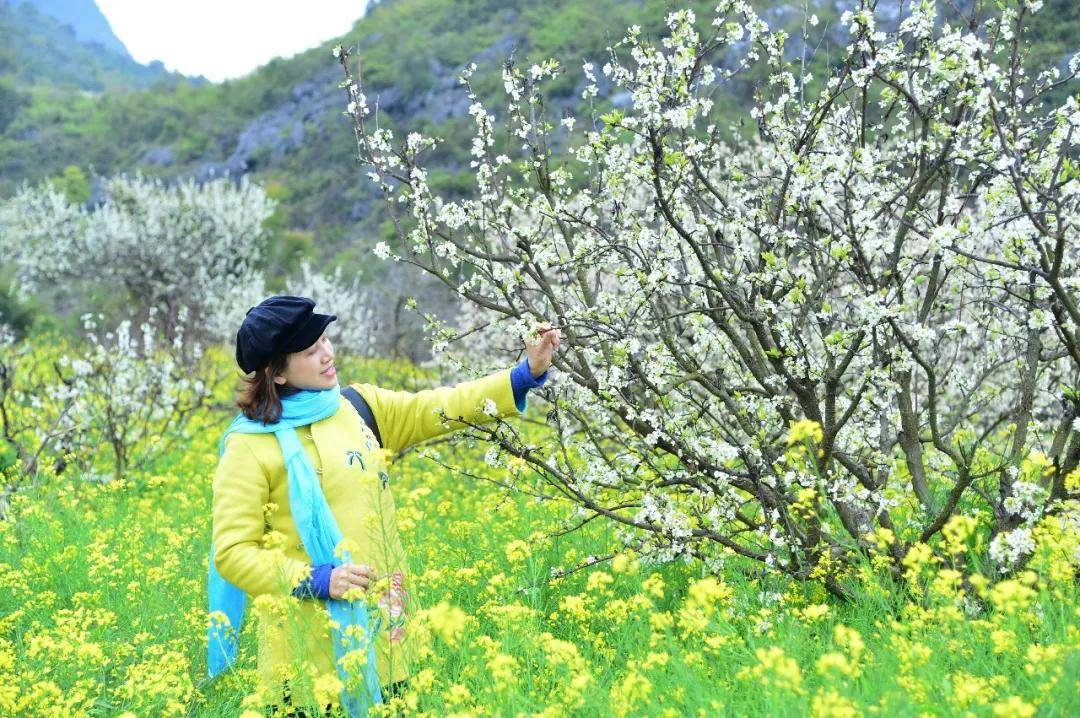 八桂大地春季赏花休闲游动车3天