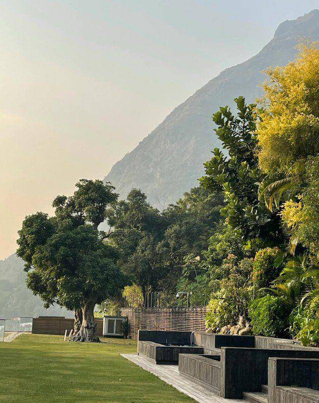 林青霞接种新冠疫苗！