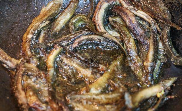 梦境迷离，解读梦见孩子生吃泥鳅鱼的深层含义