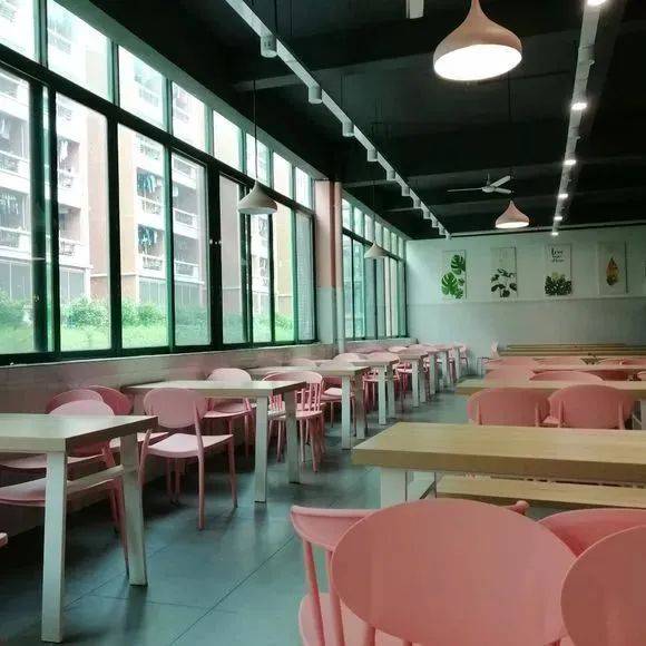 广州松田职业学排名_助力乡村振兴!广州松田职业学院与韶关市翁源县签