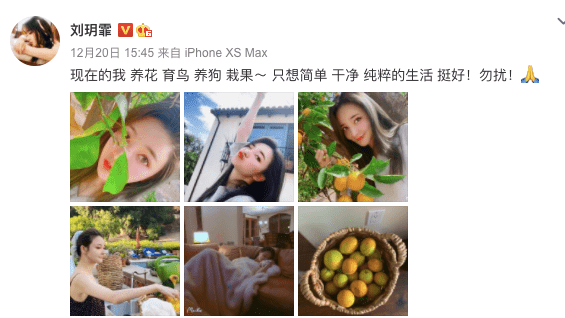 一手好牌打的稀烂,张檬还能洗白吗?
