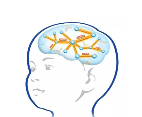 如何拥有一个好大脑 1c933e04822e4c8b846d4cd525e10842.png