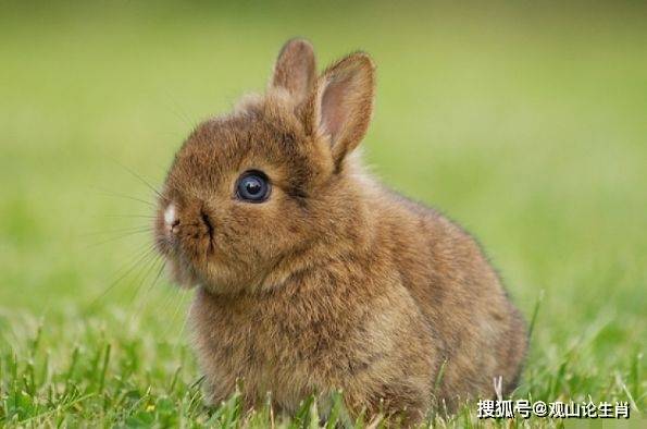 01c7caed89fb405d96c0dc36145af491.jpeg