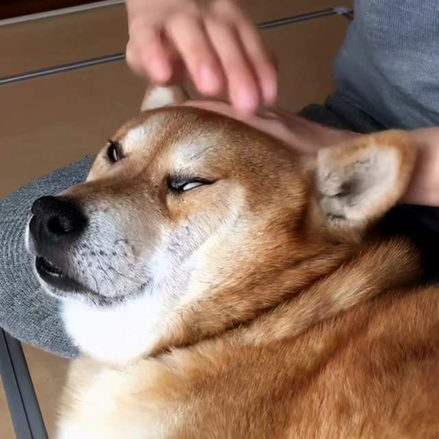 342d96736f2849c496b739867e06e291.jpeg