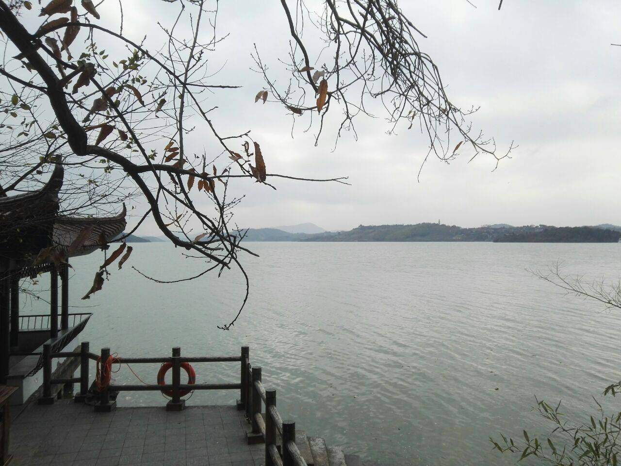 龙城区gdp2020_近十年中国gdp数据图(2)