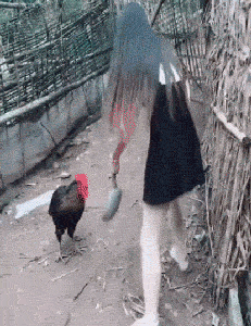 原创搞笑gif段子:编辑公园永远是这个世界最神奇的地方之一.