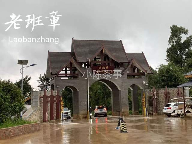 云南茶农人口_云南茶农采茶图