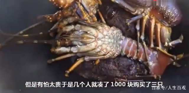 中国人在非洲买了3只龙虾，结账给了1000块转身被老板拉住！