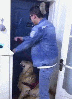 搞笑gif段子一看就知道被主人圈养了很久一开门嗖的一声没了