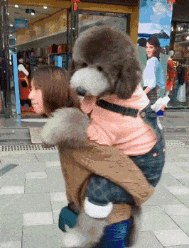 搞笑gif段子1遇到这么尴尬事你会怎么办冬天坐公交车一般人们都会戴