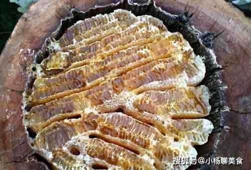 原始人女性一般吃5种刮食,营养和秤,还可以减肥