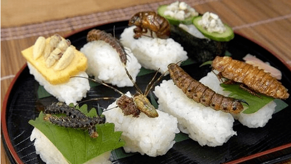 日本超恶心的五种食物,看后毫无食欲,网友:用来帮孩子戒零食