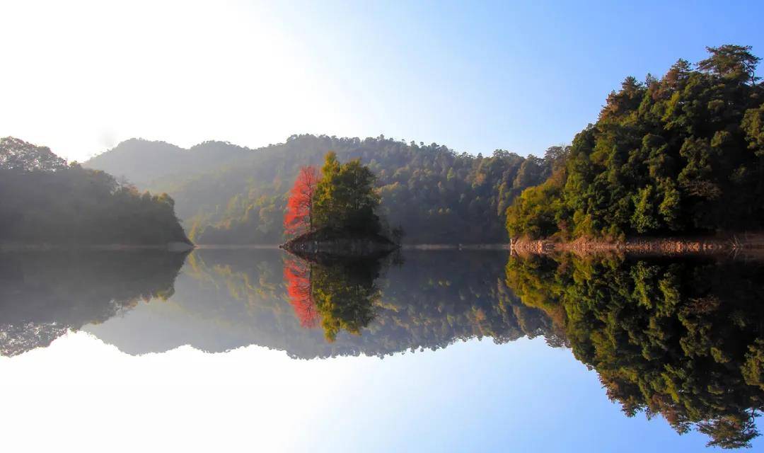 山月为伴，林木为友：九华山下木屋旅居