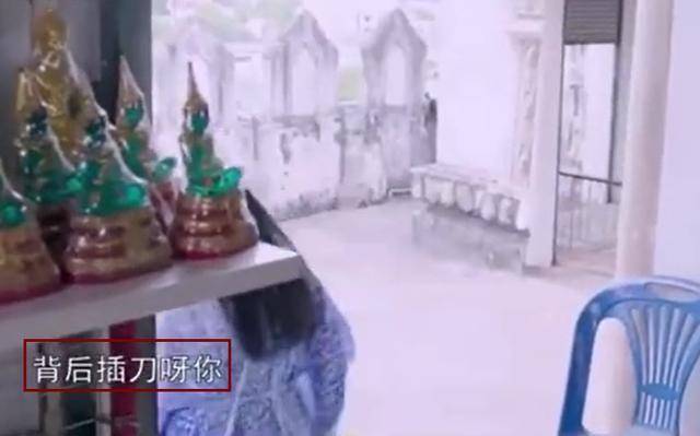 李湘王岳伦新综艺官宣,夫妻当街吵架引发热议