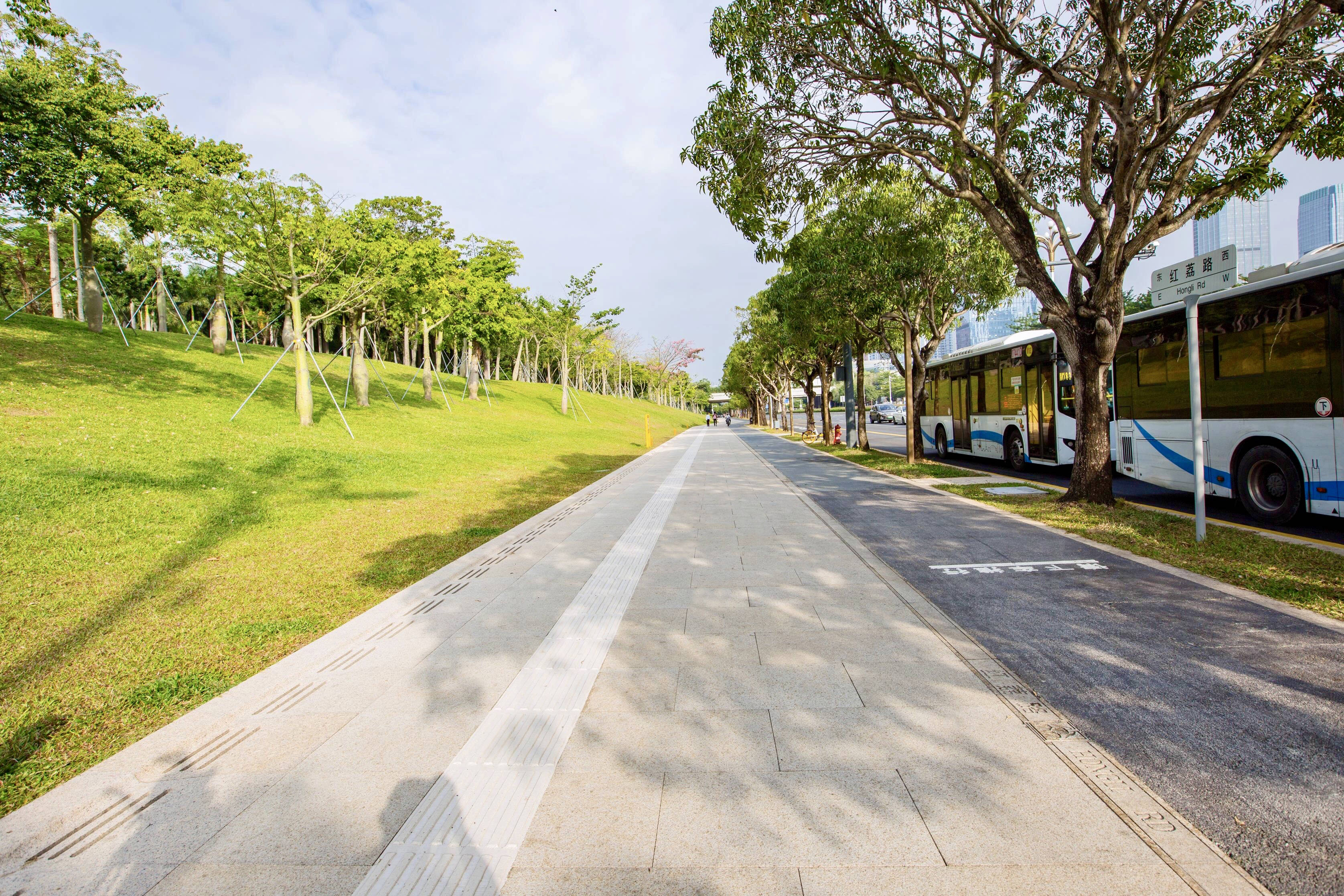 重组道路公共空间, 打造三线合一的慢行系统,展现生态优美的城市形象