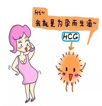 怀孕了都要查的hcg是什么?