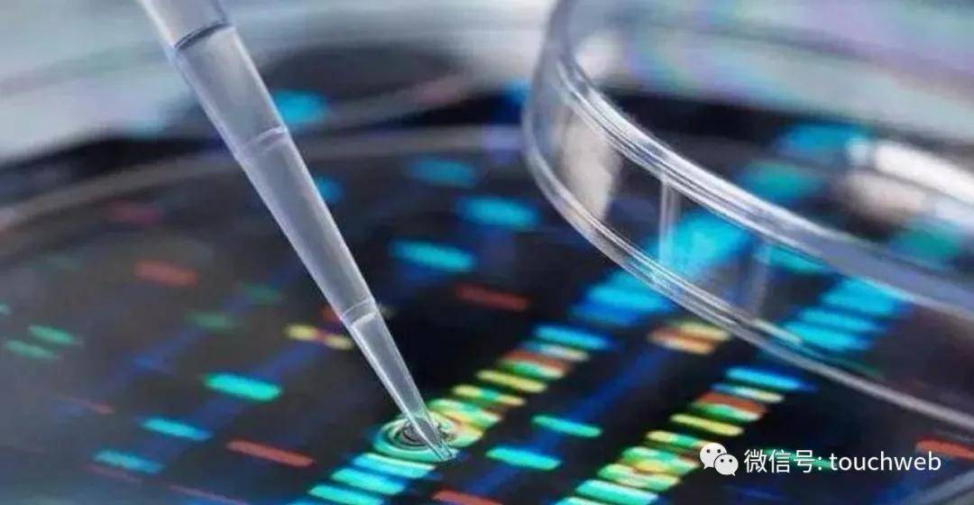 珈创生物IPO：四十载“武大郎” 十三亿雪花