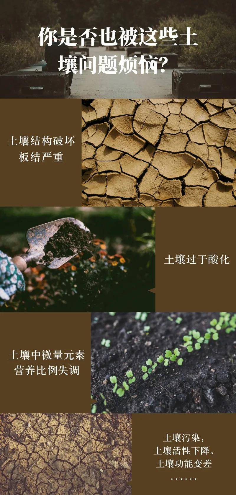 农业种植用地土壤污染可能就是施用肥料不当引起的