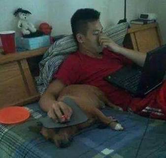 9bcd4a60ab2d41758497824dcd780448.jpeg