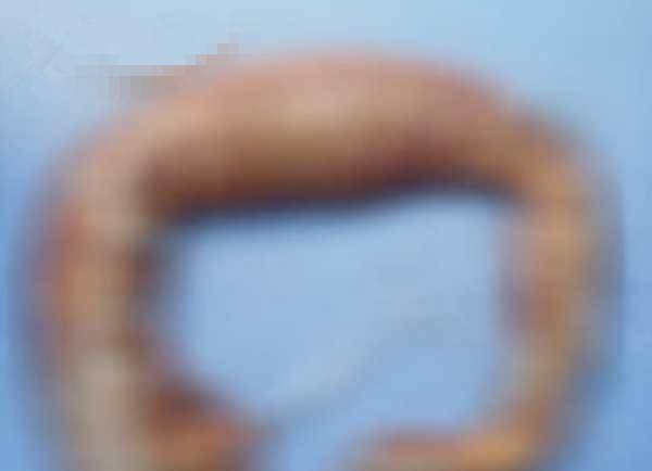 a6e775a1e3124ba48cef89dde6cd3e4b.jpeg