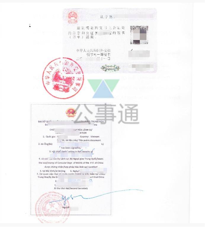 国内单身证明公证双认证用于越南怎么办理