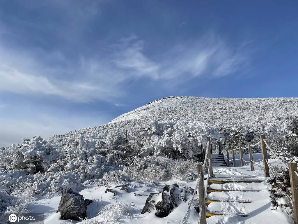 韩国汉拿山山顶积雪,美不胜收