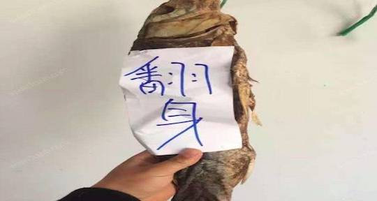 咸鱼翻身啊!