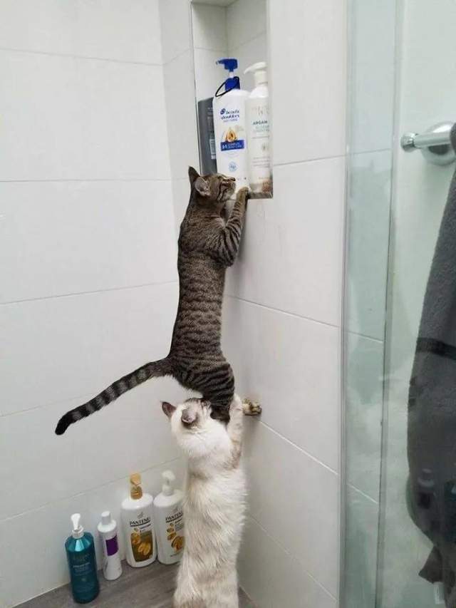 2e66ccbdc1ec43759eec4376c5b0f408.jpeg