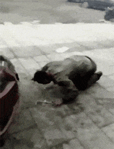 晚上回到家她对我说: