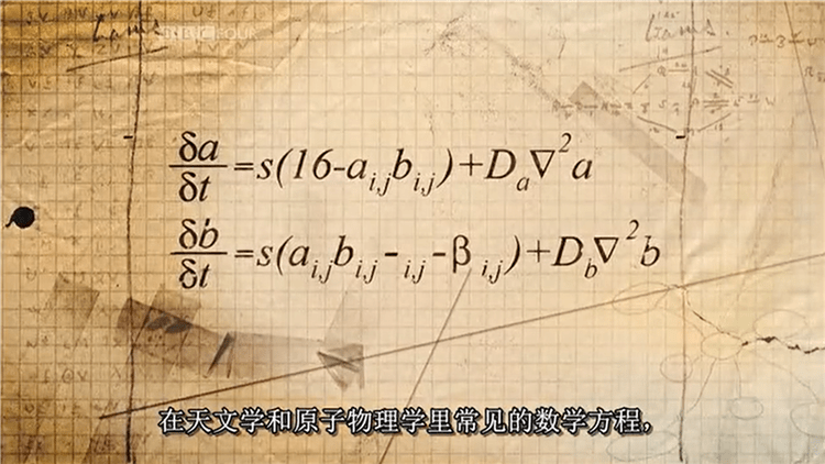 【数学之美】豆瓣9.1 颠覆世界的混沌理论_阿兰图灵